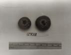 Click for 1 image(s) for this accession. FRUIT
